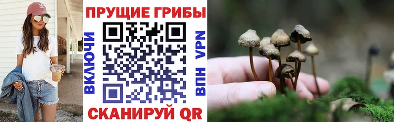 Псилоцибиновые грибы мухоморы  KRAKEN сайт  Ужур 